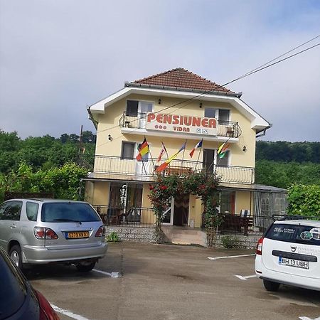 Pensiunea Vidra Félixfürdő Kültér fotó