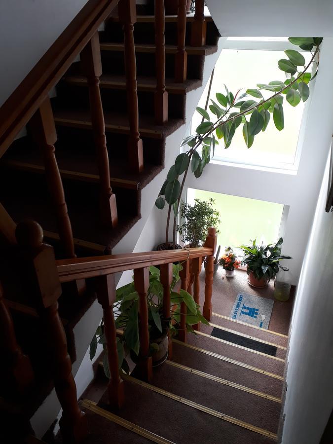 Pensiunea Vidra Félixfürdő Kültér fotó